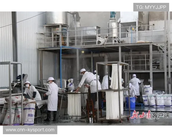 强化政策传导机制,助力经济回暖,强化政策引导精准发力 强化政策传导机制,助力经济回暖,强化政策引导精准发力